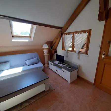 Gite A : Piscine Chauffee, Clim, Jardin Et Proche Futuroscope - Fr-1-541-90 Apartamento